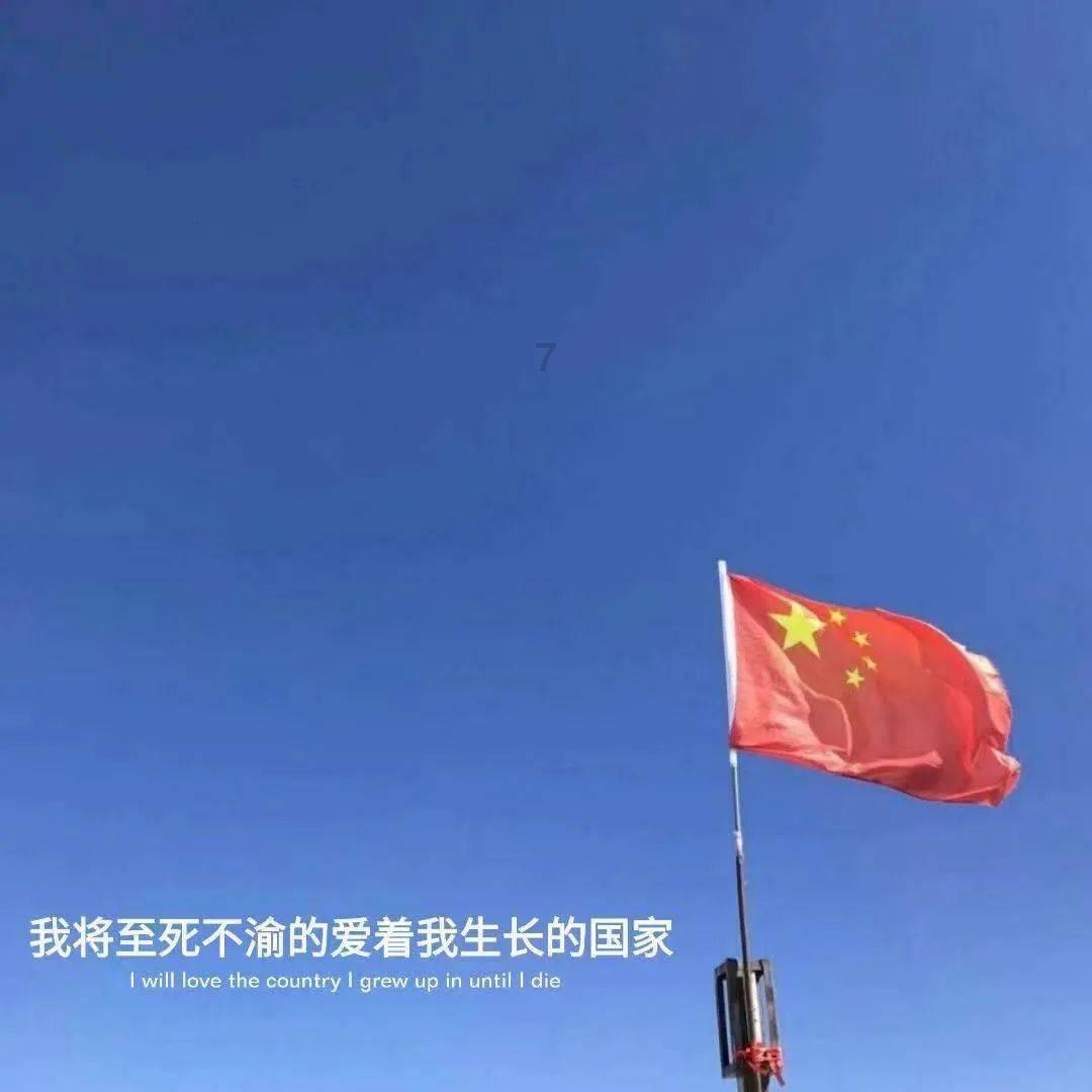 猪猪去冒险